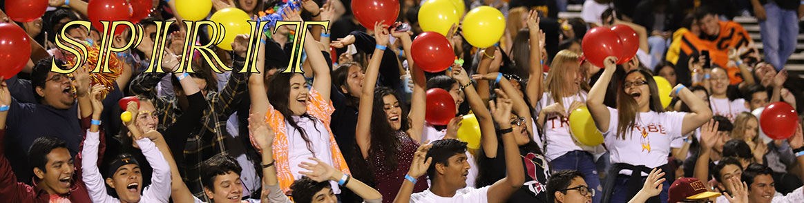 Spirit - Tulare Union High School Students cheering in the bleachers